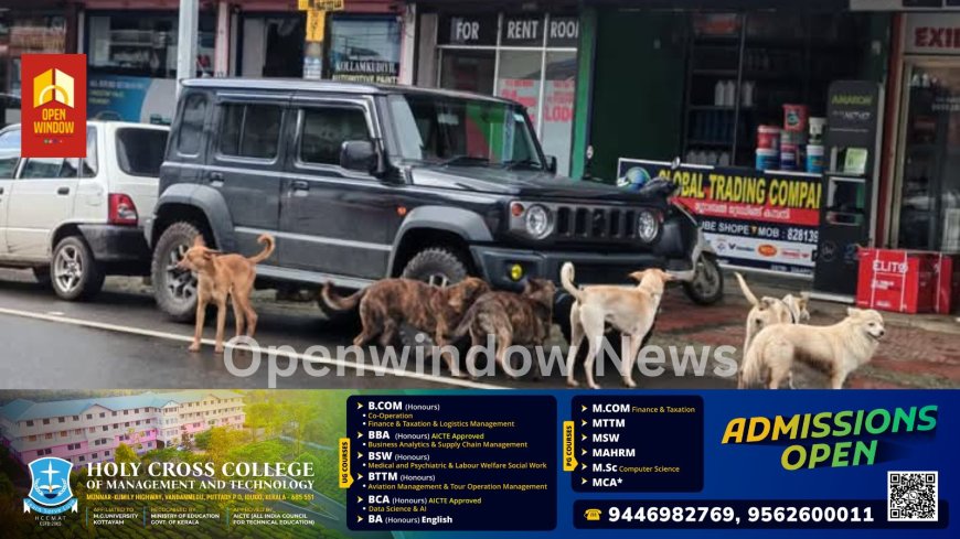 കട്ടപ്പന ടൗണിലും പരിസരപ്രദേശങ്ങളിലും തെരുവുനായ ശല്യം രൂക്ഷം