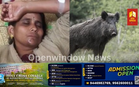 കാട്ടുപന്നി ആക്രമണം, നെടുങ്കണ്ടം ബ്ലോക്ക് പഞ്ചായത്ത് വൈസ് പ്രസിഡന്റ് ശ്രീദേവി എസ് ലാലിന് പരിക്ക്