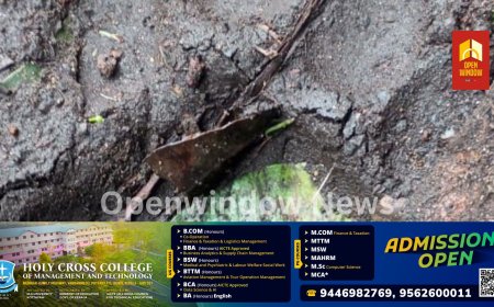 ഇടുക്കി ചിന്നക്കനാലിൽ ജനവാസ മേഖലയിൽ പുലി ഇറങ്ങി ;പ്രദേശവാസിയായ രാജപാണ്ടിയുടെ വളർത്തു നായയെ പുലി പിടിച്ചു