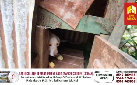 ഇടുക്കി ചിന്നക്കനാലിൽ വീണ്ടും പുലിയുടെ സാനിധ്യം ; വളർത്തുനായക്ക്‌ പുലിയുടെ ആക്രമണത്തിൽ പരുക്കേറ്റു