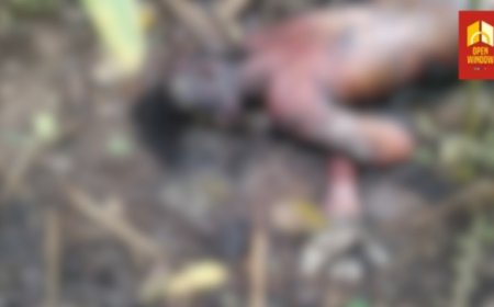 രാജകുമാരി ഖജനാപ്പാറക്ക് സമീപം മുന്നൂറ് ഏക്കറിൽ അജ്ഞാത മൃതദേഹം കണ്ടെത്തി