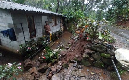 കട്ടപ്പന നരിയംപാറ എട്ടിപ്പടി കാഞ്ചിയാർ റോഡിൽ ഉദയപുരത്തിന് സമീപം കനത്ത മഴയിൽ വീടിന്റെ സംരക്ഷണഭിത്തി ഇടിഞ്ഞു