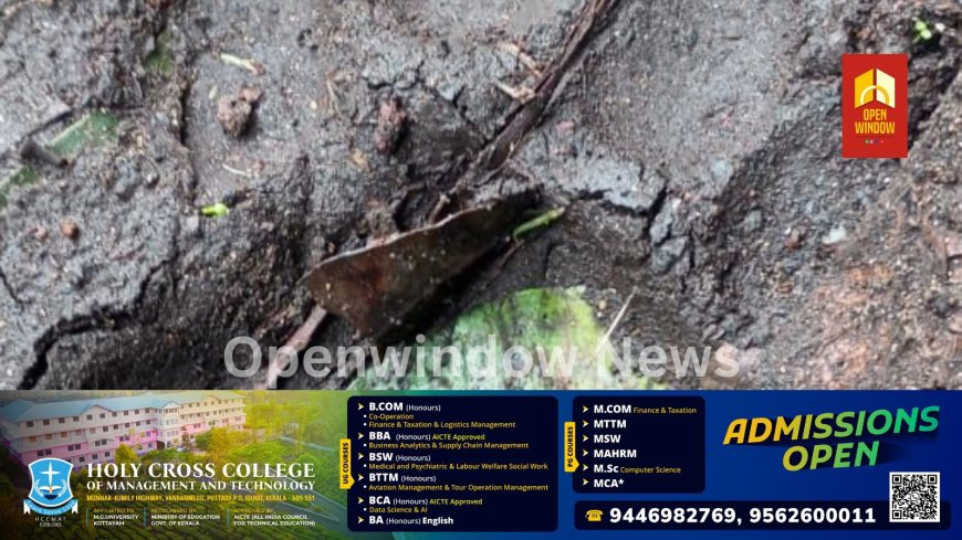 ഇടുക്കി ചിന്നക്കനാലിൽ ജനവാസ മേഖലയിൽ പുലി ഇറങ്ങി ;പ്രദേശവാസിയായ രാജപാണ്ടിയുടെ വളർത്തു നായയെ പുലി പിടിച്ചു