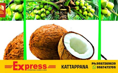 കുത്തനെ ഉയർന്ന വെളിച്ചെണ്ണവില താഴേക്ക്; ലിറ്ററിന്‌ 390 രൂപയായി