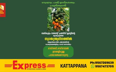 ജീവജാലങ്ങൾക്കും മനുഷ്യർക്കുമായി അയ്യപ്പൻകോവിൽ പഞ്ചായത്തിൽ വിവിധ ഇടങ്ങളിൽ  മേരികുളം ടാലന്റ് ഫ്രണ്ട്സ് ക്ലബ്ബിന്റെ സഹകരണത്തോടെ  മുന്നൂറ്  റെഡ് ലേഡി, റെഡ് റോയൽ ഇനത്തിൽപ്പെട്ട പപ്പായ (കപ്പളം) തൈകൾ നടന്നു