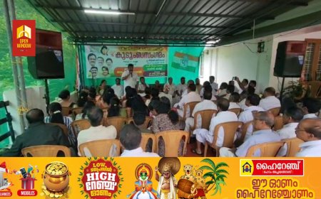 രാഷ്ട്രപിതാവ് മഹാത്മാഗാന്ധിയെയും ജവഹർലാൽ നെഹ്റുവിനെയും   താമസ്കരിക്കുന്ന ബിജെപി ഇന്ത്യയുടെ സ്വാതന്ത്ര്യത്തെയും തള്ളിക്കളയാനുള്ള ശ്രമത്തിന്റെ ഭാഗമായാണ് ഇപ്പോൾ വിഭജനദിനം ആചരിക്കുന്നതിലൂടെ നടപ്പാക്കുന്നതെന്ന്‌ യുഡിഎഫ് ജില്ലാ ചെയർമാൻ ജോയി വെട്ടിക്കുഴി