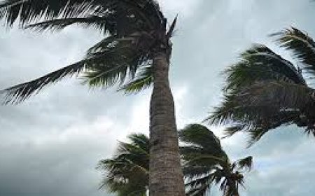 കേന്ദ്ര കാലാവസ്ഥ വകുപ്പിന്റെ അടുത്ത 5 ദിവസത്തേക്കുള്ള മഴ സാധ്യത പ്രവചനം ; വിവിധ ജില്ലകളിൽ കേന്ദ്ര കാലാവസ്ഥ വകുപ്പ് ഓറഞ്ച്, മഞ്ഞ അലർട്ടുകൾ പ്രഖ്യാപിച്ചിരിക്കുന്നു