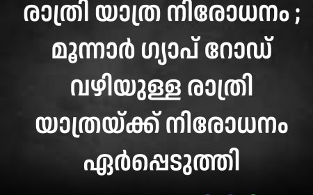 രാത്രി യാത്ര നിരോധനം ;മൂന്നാർ ഗ്യാപ് റോഡ് വഴിയുള്ള രാത്രി യാത്രയ്ക്ക് നിരോധനം ഏർപ്പെടുത്തി