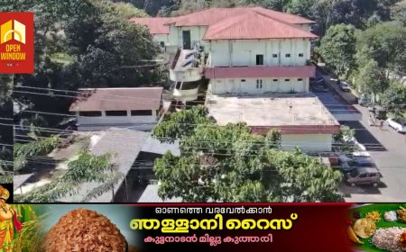 ഇടുക്കി മെഡിക്കൽ കോളേജ് പരിസരം കാടുമൂടി ഇഴജന്തുക്കളുടെ താവളം  ;  രോഗികൾക്കും , പൊതുജനങ്ങൾക്കും
വൻ അപകട ഭീഷണി ഉയർത്തുന്നു