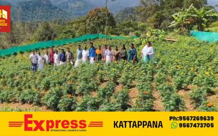 വെള്ളത്തൂവൽ മുതുവാൻ കുടിക്കു സമീപം ചതുരംഗപാറയിൽ  പൂപ്പാടം ഒരുക്കി പണിക്കൻകുടി സ്കൂളിലെ പൂർവ്വ വിദ്യാർത്ഥികൾ