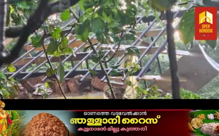 കണ്ണൂരിൽ വൻ സ്ഫോടനം: ഒരു മരണം, ശരീരഭാഗങ്ങൾ ചിന്നിച്ചിതറി; ബോംബ് സ്ക്വാഡും പൊലീസും എത്തി, പരിശോധന