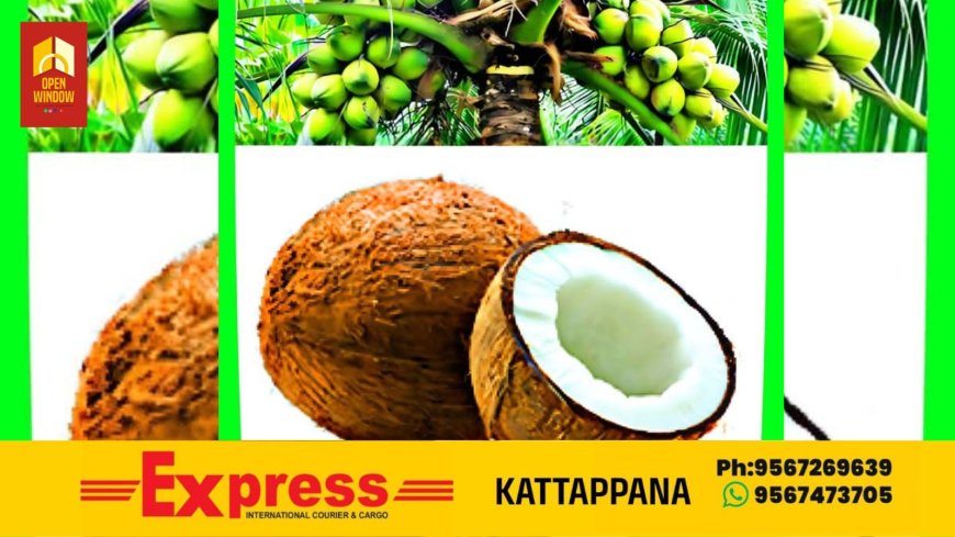കുത്തനെ ഉയർന്ന വെളിച്ചെണ്ണവില താഴേക്ക്; ലിറ്ററിന് 390 രൂപയായി