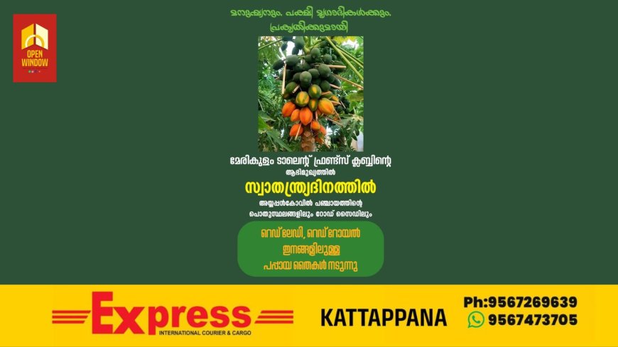 ജീവജാലങ്ങൾക്കും മനുഷ്യർക്കുമായി അയ്യപ്പൻകോവിൽ പഞ്ചായത്തിൽ വിവിധ ഇടങ്ങളിൽ മേരികുളം ടാലന്റ് ഫ്രണ്ട്സ് ക്ലബ്ബിന്റെ സഹകരണത്തോടെ മുന്നൂറ് റെഡ് ലേഡി, റെഡ് റോയൽ ഇനത്തിൽപ്പെട്ട പപ്പായ (കപ്പളം) തൈകൾ നടന്നു