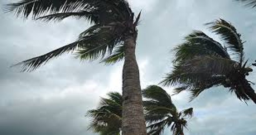 കേന്ദ്ര കാലാവസ്ഥ വകുപ്പിന്റെ അടുത്ത 5 ദിവസത്തേക്കുള്ള മഴ സാധ്യത പ്രവചനം ; വിവിധ ജില്ലകളിൽ കേന്ദ്ര കാലാവസ്ഥ വകുപ്പ് ഓറഞ്ച്, മഞ്ഞ അലർട്ടുകൾ പ്രഖ്യാപിച്ചിരിക്കുന്നു