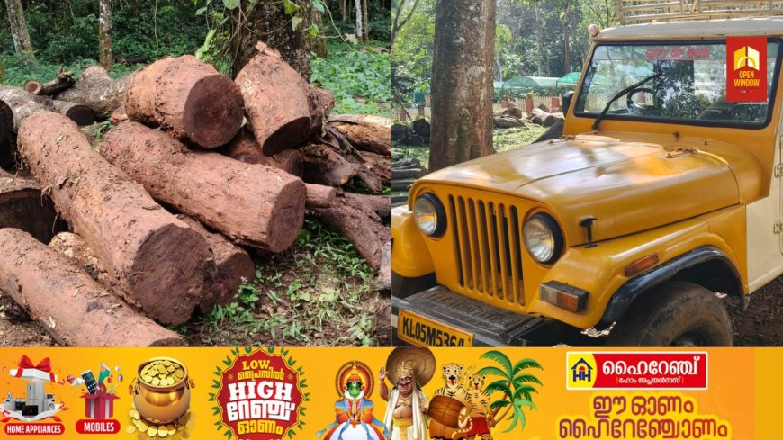 കട്ടപ്പന പേഴും കവലയിലെ കൃഷിയിടത്തിൽ നിന്ന് അനധികൃതമായി മുറിച്ച് കടത്തിയ തടികളും കൊണ്ടുപോകാൻ ഉപയോഗിച്ച രണ്ടു വാഹനങ്ങളും അയ്യപ്പൻകോവിൽ വനം വകുപ്പ് പിടികൂടി