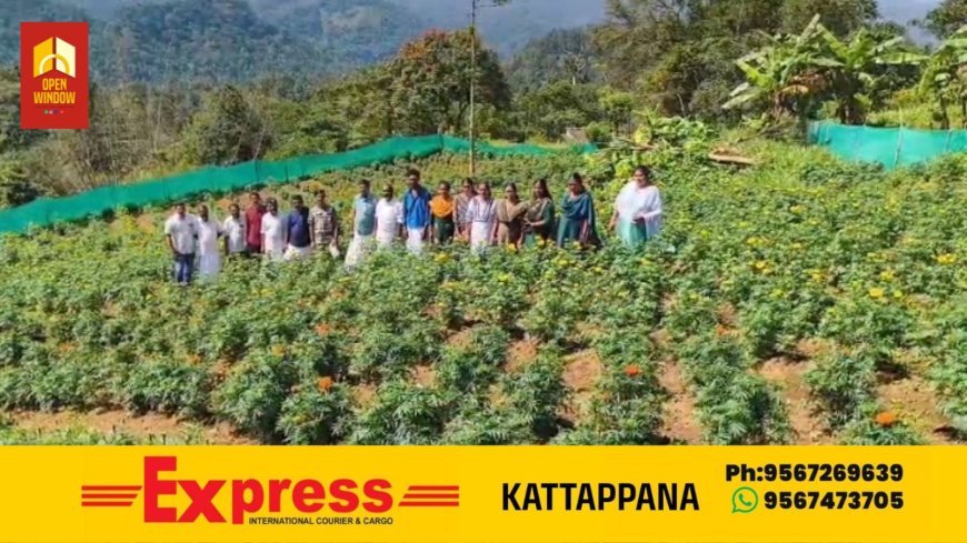 വെള്ളത്തൂവൽ മുതുവാൻ കുടിക്കു സമീപം ചതുരംഗപാറയിൽ പൂപ്പാടം ഒരുക്കി പണിക്കൻകുടി സ്കൂളിലെ പൂർവ്വ വിദ്യാർത്ഥികൾ