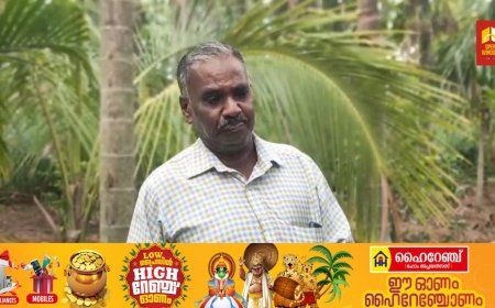 പരീക്ഷക്ക് കോപ്പിയടി പിടിച്ചതിന് വ്യാജ പീഡന പരാതി;മൂന്നാർ ഗവ: കോളജ് അധ്യാപകനെ കോടതി വെറുതെ വിട്ടു