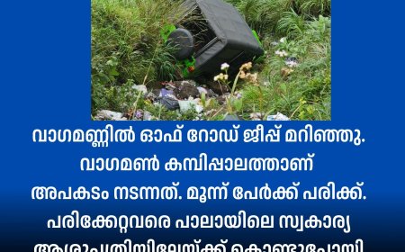 വാഗമണ്ണിന് സമീപം വിനോദസഞ്ചാരികൾ സഞ്ചരിച്ച ഓഫ് റോഡ് ജീപ്പ് മറിഞ്ഞ് 3 വിനോദ സഞ്ചരികൾക്ക് പരിക്ക്