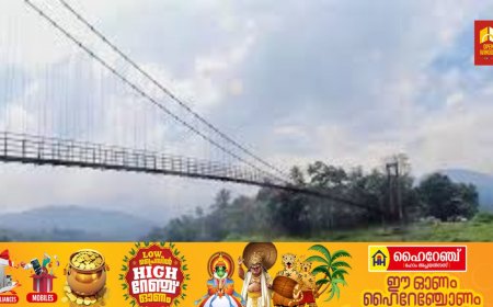 ദുരന്തനിവാരണം; അയ്യപ്പൻകോവിൽ തൂക്കുപാലത്തിലൂടെയുള്ള വിനോദ സഞ്ചാരികളുടെ യാത്രക്ക് നിയന്ത്രണം ഏർപ്പെടുത്തി