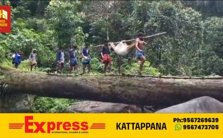 ഇടമലക്കുടിയിൽ വീണ്ടും രോഗിയെ കാട്ടിലൂടെ ചുമന്ന് ആശുപത്രിയിലേക്ക് എത്തിച്ചു