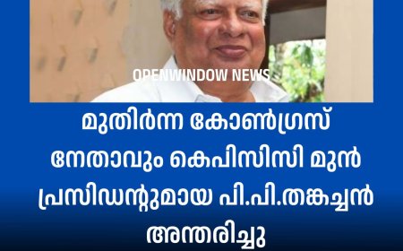 മുതിർന്ന കോൺഗ്രസ് നേതാവും കെപിസിസി മുൻ പ്രസിഡന്റുമായ പി.പി.തങ്കച്ചൻ അന്തരിച്ചു