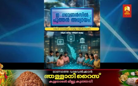 ഇ -ഗവേർണൻസ് രംഗത്ത് ഡിജിറ്റൽ വിപ്ലവത്തിന് വഴിയൊരുക്കി ഡിജിറ്റൽ കേരള ഇനിഷ്യേറ്റീവ്