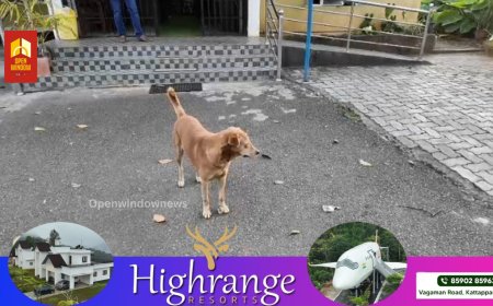 നാടിന് കാവല്‍ നില്‍ക്കുന്ന പോലീസിന് കാവല്‍ നില്‍ക്കുന്ന ഒരാളുണ്ട് കമ്പം മെട്ട് പോലീസ് സ്റ്റേഷനില്‍ ; ബ്രൂണോ എന്ന നായയാണ് പോലീസുകാരുടെയും പോലീസ് സ്റ്റേഷന്റെയും കാവൽക്കാരി