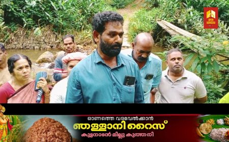 ഇടുക്കി പള്ളിവാസലിൽ  മറുകര കടക്കാന്‍ ഒരു പാലം വേണമെന്ന നാട്ടുകാരുടെ ആവശ്യത്തിന് നടപടിയില്ല