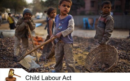 ബാലവേല നിരോധന നിയമം: ജില്ലയിൽ കർശന നപടികൾ;580 പരിശോധനകളും 49 സംയുക്ത പരിശോധനകളും നടത്തി