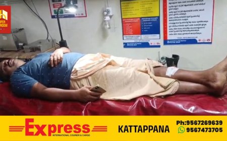 ഇടുക്കി ശാന്തൻപാറയിൽ   മരം വെട്ടി കടത്തിയത് വനം വകുപ്പിനെ അറിയിച്ചു എന്ന് ആരോപിച്ച്  യുവാവിനെ സംഘം ചേർന്ന് ആക്രമിച്ചതായി പരാതി