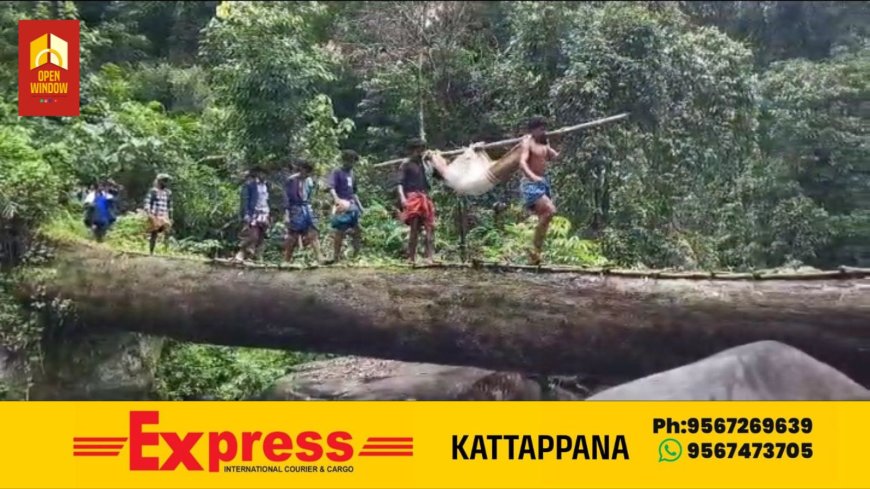 ഇടമലക്കുടിയിൽ വീണ്ടും രോഗിയെ കാട്ടിലൂടെ ചുമന്ന് ആശുപത്രിയിലേക്ക് എത്തിച്ചു