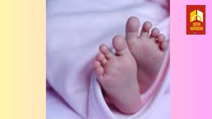 ഇടുക്കിയിൽ വീട്ടിൽ വച്ച് പ്രസവമെടുക്കുന്നതിനിടെ നവജാത ശിശു മരിച്ചു