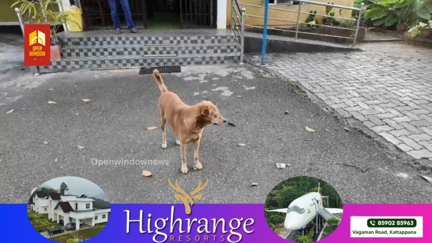 നാടിന് കാവല്‍ നില്‍ക്കുന്ന പോലീസിന് കാവല്‍ നില്‍ക്കുന്ന ഒരാളുണ്ട് കമ്പം മെട്ട് പോലീസ് സ്റ്റേഷനില്‍ ; ബ്രൂണോ എന്ന നായയാണ് പോലീസുകാരുടെയും പോലീസ് സ്റ്റേഷന്റെയും കാവൽക്കാരി