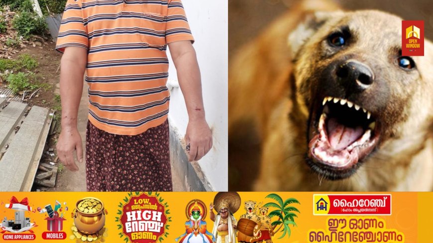 കട്ടപ്പന വള്ളക്കടവിൽ തെരുവുനായ ആക്രമണം; ഒരാൾക്ക് കടിയേറ്റു