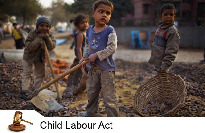 ബാലവേല നിരോധന നിയമം: ജില്ലയിൽ കർശന നപടികൾ;580 പരിശോധനകളും 49 സംയുക്ത പരിശോധനകളും നടത്തി