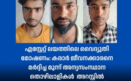 എസ്റ്റേറ്റ് ലയത്തിലെ വൈദ്യുതി മോഷണം: കരാർ ജീവനക്കാരനെ മർദ്ദിച്ച മൂന്ന് അന്യസംസ്ഥാന തൊഴിലാളികൾ അറസ്റ്റിൽ