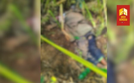 ഇടുക്കിയിൽ കാട്ടാന ആക്രമണത്തിൽ ഒരാൾ മരിച്ചു