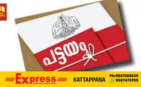 കെട്ടിടങ്ങളുടെ വിസ്തൃതി പരിഗണിക്കാതെ വനഭൂമിയിൽ പട്ടയം അനുവദിക്കും;ഷോപ്പ് സൈറ്റുകൾക്കും പട്ടയം