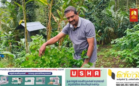 മാലിമുളക് കൃഷിയിൽ നിന്ന് 20 ലക്ഷം രൂപയുടെ ആദായം ലഭിച്ച കർഷകനാണ് ഇടുക്കി രാജകുമാരി മുരിക്കുംതൊട്ടി സ്വദേശിയായ അജി ചുണ്ടൻകുഴി.
ഏലം റീപ്ലാൻ്റേഷനൊപ്പം  ഇദ്ദേഹം 
നാലേക്കർ സ്ഥലത്താണ്
മാലിമുളക് കൃഷി നടത്തിയത്