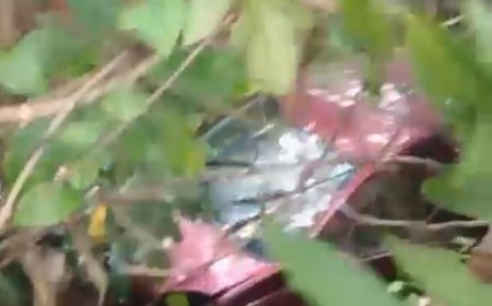 തൊടുപുഴക്ക് സമീപം കാർ താഴ്ച്ചയിലേക്ക് മറിഞ്ഞുണ്ടായ അപകടത്തിൽ രണ്ട് പേർ മരിച്ചു