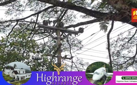 കട്ടപ്പന പാറക്കടവ് ജംഗ്ഷനിൽ സ്ഥിതിചെയ്യുന്ന രണ്ട് വലിയ വാകമരങ്ങൾ പ്രദേശത്തെ വ്യാപാര സ്ഥാപനങ്ങൾക്കും കാൽനട വാഹന യാത്രികർക്കും അപകട ഭീഷണി സൃഷ്ടിക്കുന്നു