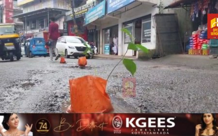 കട്ടപ്പന മാർക്കറ്റ് കുന്തളംപാറ റോഡിനോടുള്ള അവഗണന അവസാനിപ്പിക്കണമെന്നാ വശ്യപ്പെട്ടുകൊണ്ട് റോഡിൽ പ്ലാവിൻ തൈകൾ നട്ടു