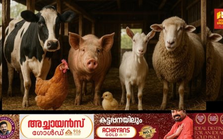 ഉപ്പുതറയിൽ വളർത്തുമൃഗ കടത്തൽ;വാഹനം പൊലീസ് പിടിച്ചെടുത്തു