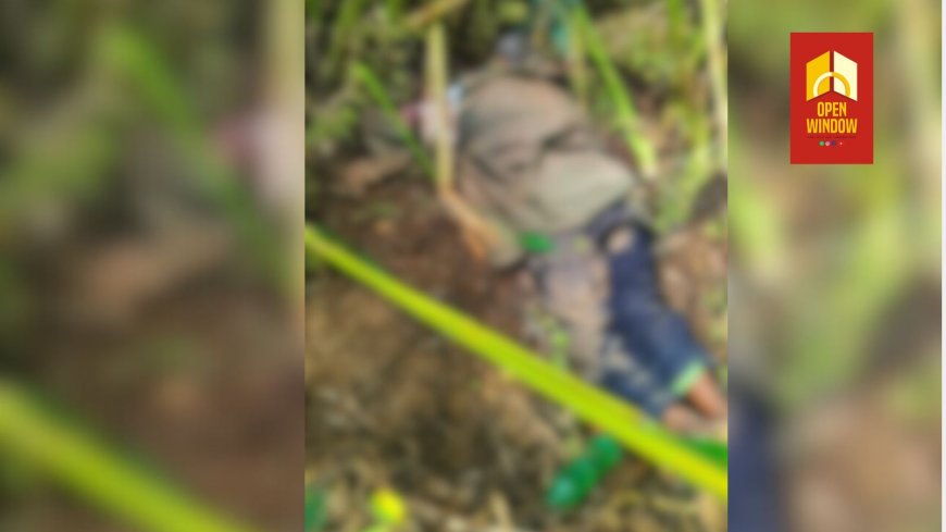 ഇടുക്കിയിൽ കാട്ടാന ആക്രമണത്തിൽ ഒരാൾ മരിച്ചു