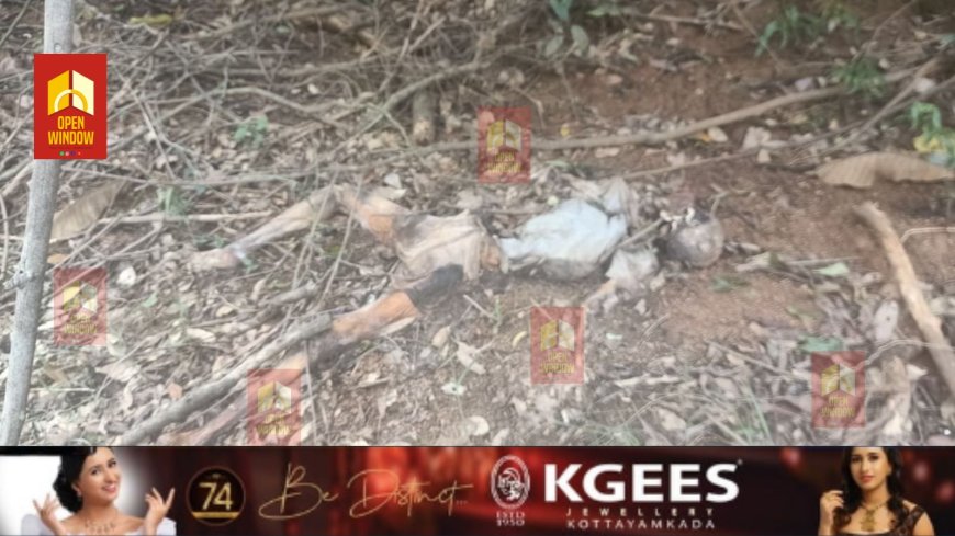 ഇടുക്കി പൊന്മുടി ജലാശയത്തിൽ നിന്നും പുരുഷന്റേത് എന്ന് സംശയിക്കുന്ന, രണ്ട് മാസം പഴക്കമുള്ള അസ്ഥികൂടം കണ്ടെത്തി