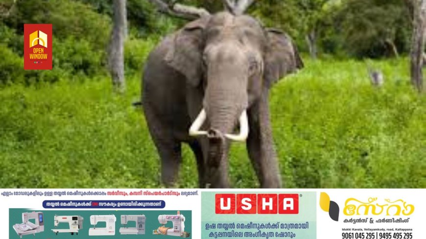 കാട്ടാന ആക്രമണം ഹൈക്കോടതി ഉത്തരവ് നടപ്പാക്കണം ; കിസാൻ സഭ