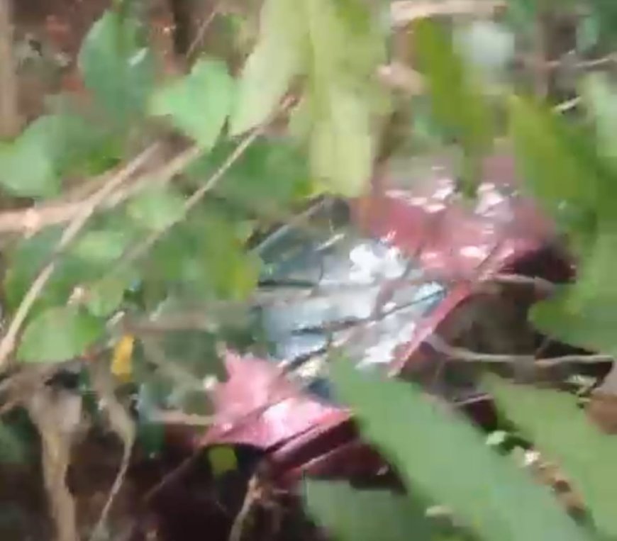 തൊടുപുഴക്ക് സമീപം കാർ താഴ്ച്ചയിലേക്ക് മറിഞ്ഞുണ്ടായ അപകടത്തിൽ രണ്ട് പേർ മരിച്ചു