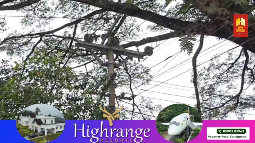 കട്ടപ്പന പാറക്കടവ് ജംഗ്ഷനിൽ സ്ഥിതിചെയ്യുന്ന രണ്ട് വലിയ വാകമരങ്ങൾ പ്രദേശത്തെ വ്യാപാര സ്ഥാപനങ്ങൾക്കും കാൽനട വാഹന യാത്രികർക്കും അപകട ഭീഷണി സൃഷ്ടിക്കുന്നു