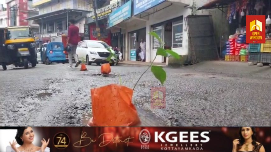 കട്ടപ്പന മാർക്കറ്റ് കുന്തളംപാറ റോഡിനോടുള്ള അവഗണന അവസാനിപ്പിക്കണമെന്നാ വശ്യപ്പെട്ടുകൊണ്ട് റോഡിൽ പ്ലാവിൻ തൈകൾ നട്ടു