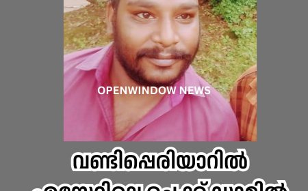 വണ്ടിപ്പെരിയാറില്‍ എസ്റ്റേറ്റിലെ ചെക്ക് ഡാമില്‍ വീണ് യുവാവ് മുങ്ങി മരിച്ചു
